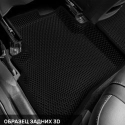 Левый пассажир