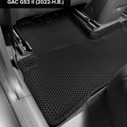 Левый пассажир