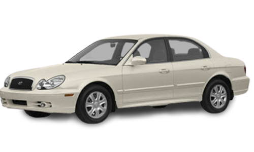 2D коврики EVA в салон  на Hyundai Sonata IV EF (1998-2012)