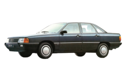 2D коврики EVA в салон  на Audi 100 C3 (1982-1991)